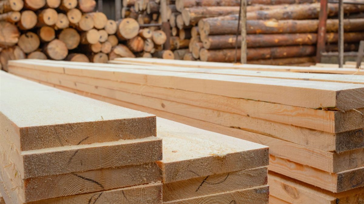 Plywood vs. Particleboard Cabinets: Which Lasts Longer?